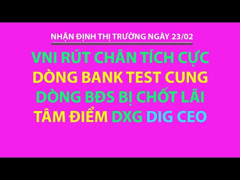 dev c online  2022 Update  NHẬN ĐỊNH THỊ TRƯỜNG NGÀY 23/2: VNI RÚT CHÂN - DÒNG BANK TEST CUNG, BĐS BỊ CHỐT LỜI - DXG DIG CEO!