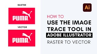Convert Raster to Vector Adobe Illustrator | How to Vectorize an Image