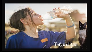 ¿Cuánta agua debo beber al día? Descubre la cantidad ideal para tu salud