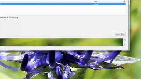 How to add media to posts and pages in wordpress cms