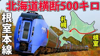 【全行程500km】北海道横断、10時間の旅 根室本線に全線乗車