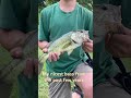 #fishing #bass