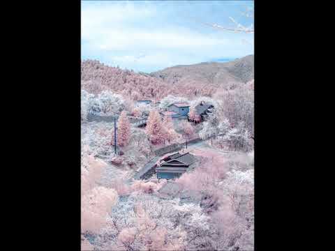 White Love・今村康編曲アルト（MIDI）