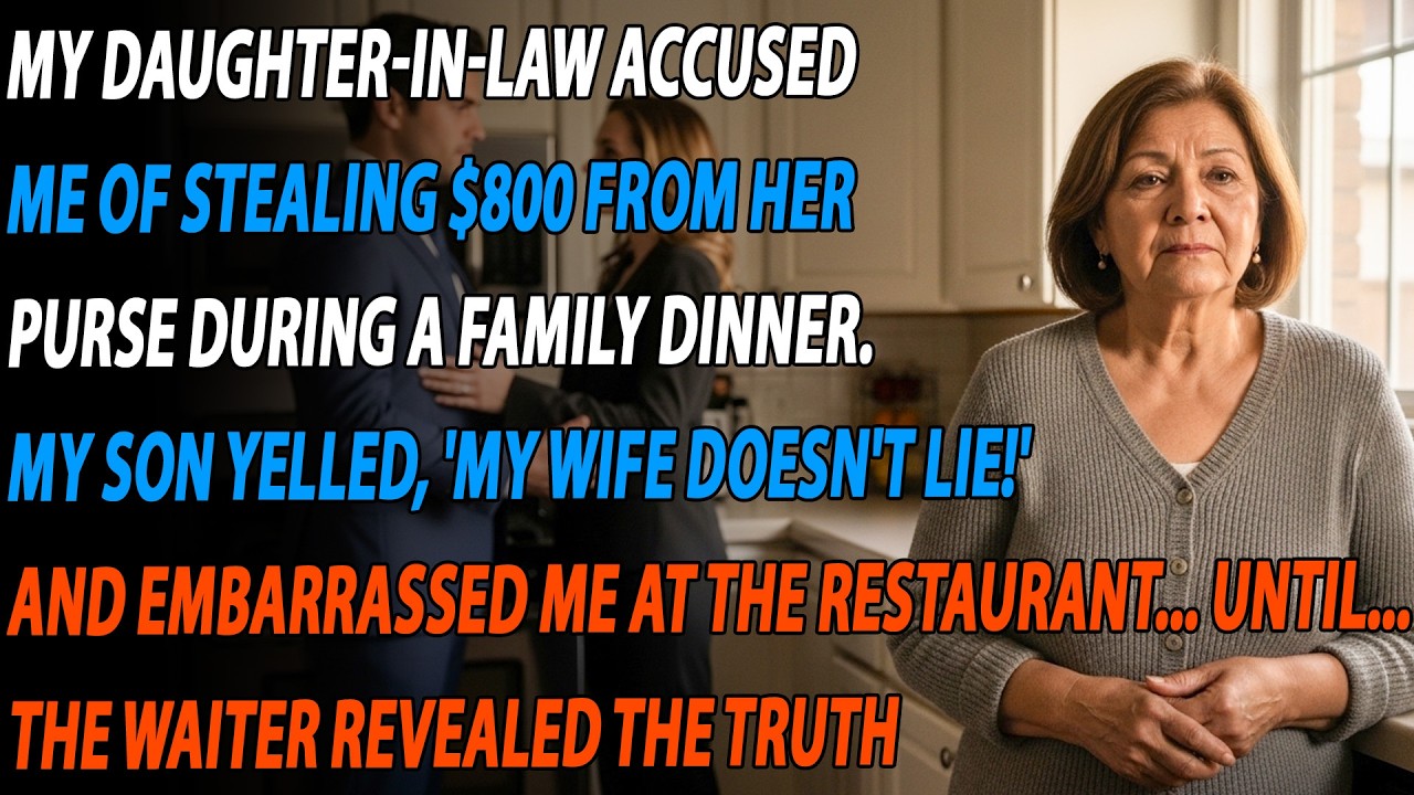 💔 She Said I Stole $800. My Son Took Her Side...Then the Waiter Spoke 😳