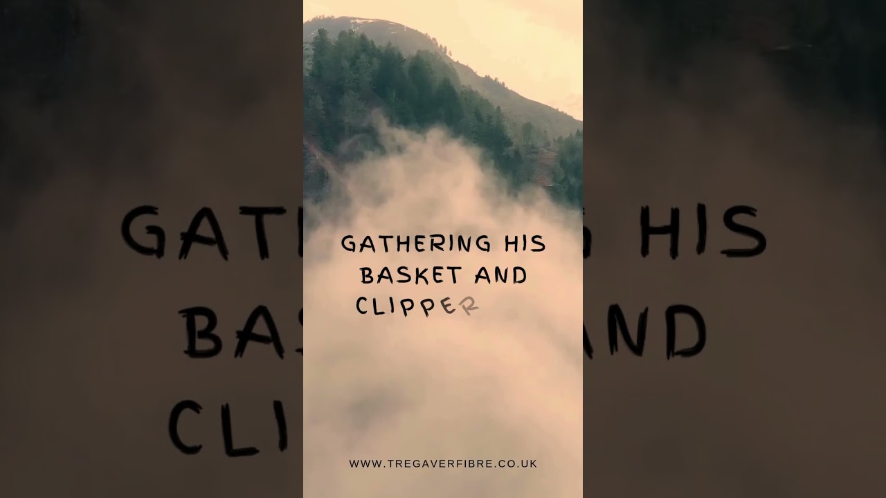 The great adventures! 