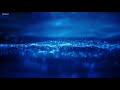 Listen daily for 48 days - I am Affirmation in Tamil VOL 3