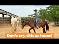 Going to New heights with Bucking bred Horse!