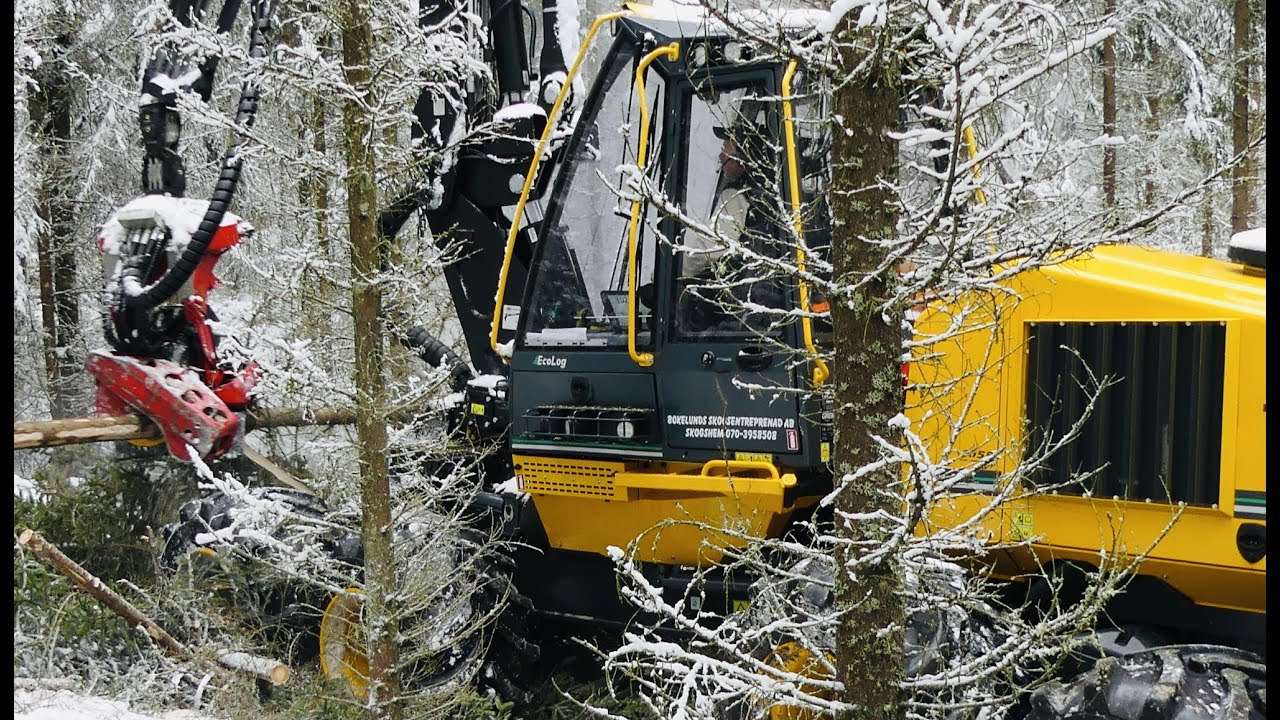 Första skördaren Eco Log 1058 H5 i Smålandsgallring