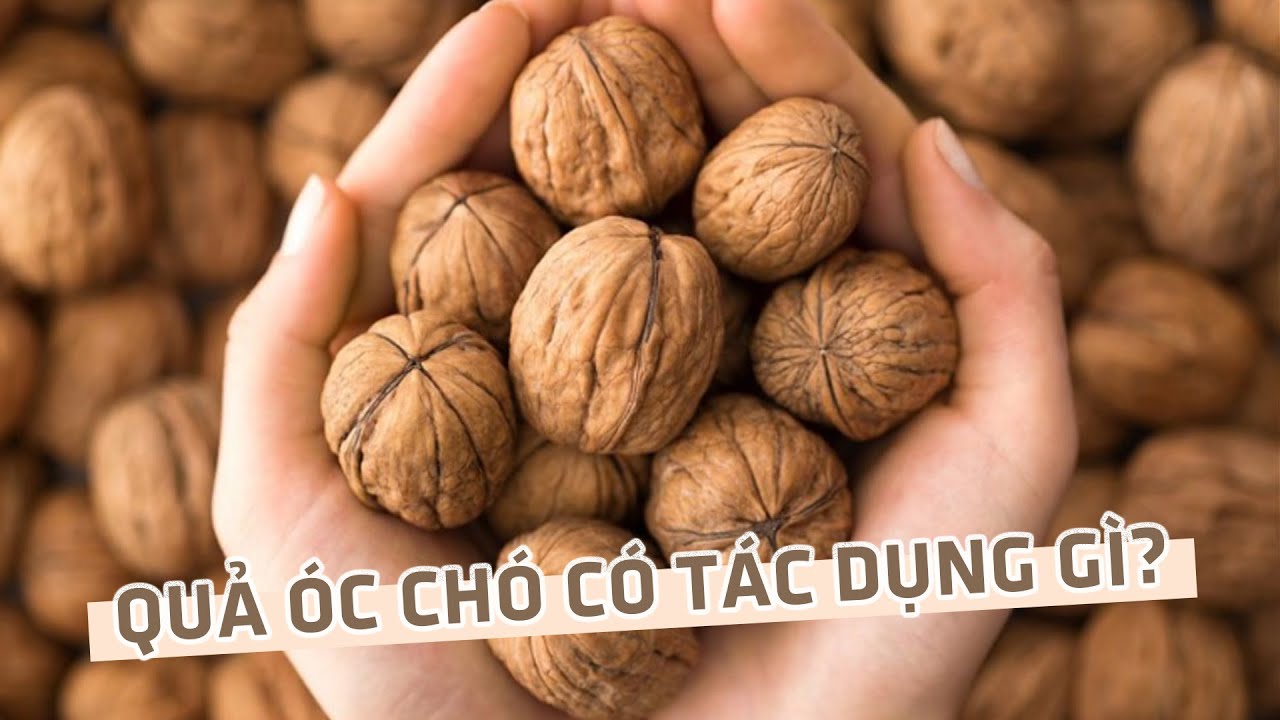 hạt óc chó có chất gì
