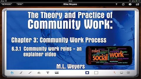 MLW Ch3 Roles in Social Action (Social Work - Macro Practice)