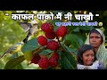 Kafal pako || काफल पाको  ||उत्तराखंड की प्रसिद्ध लोक कथा ||  यह कहानी आपको रुला देगी ||