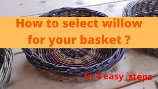 Celebrity Making baskets: How to select the right willow for your project Net Worth