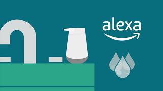 How Amazing Amazon Smart Soap Dispenser
