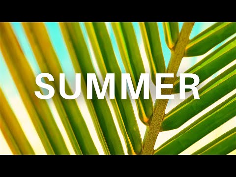 Download No Copyright Uplifting Summer Background Music Upbeat Music Instrumental Summer Music Youtube