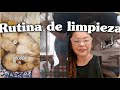 Rutina de limpieza diaria receta de almuerzo costeño 
