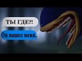 * SHIN SONIC ПОХИТИЛ МОЕГО ДРУГА * | ПЕРЕПИСКА В ТЕЛЕГРАМ