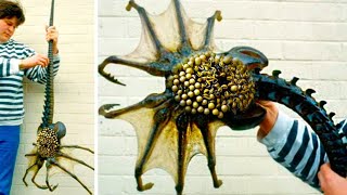 10 Dangerous Creatures You Should Never Touch