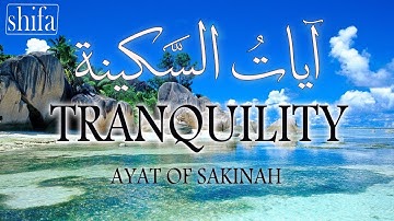 آيات السكينة لدفع القلق والهموم   AYAT OF TRANQUILITY  || SAKINAH