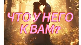 видео: ЧТО ОН ГОВОРИТ САМОМУ СЕБЕ- ЧТО У НЕГО К ВАМ?  картинка: ЧТО ОН ГОВОРИТ САМОМУ СЕБЕ- ЧТО У НЕГО К ВАМ?