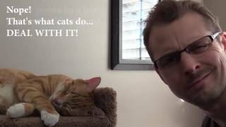 Парень мстит коту за мяуканье среди ночи— Vengeance Meow Парень мстит коту за мяуканье среди ночи— Vengeance Meow