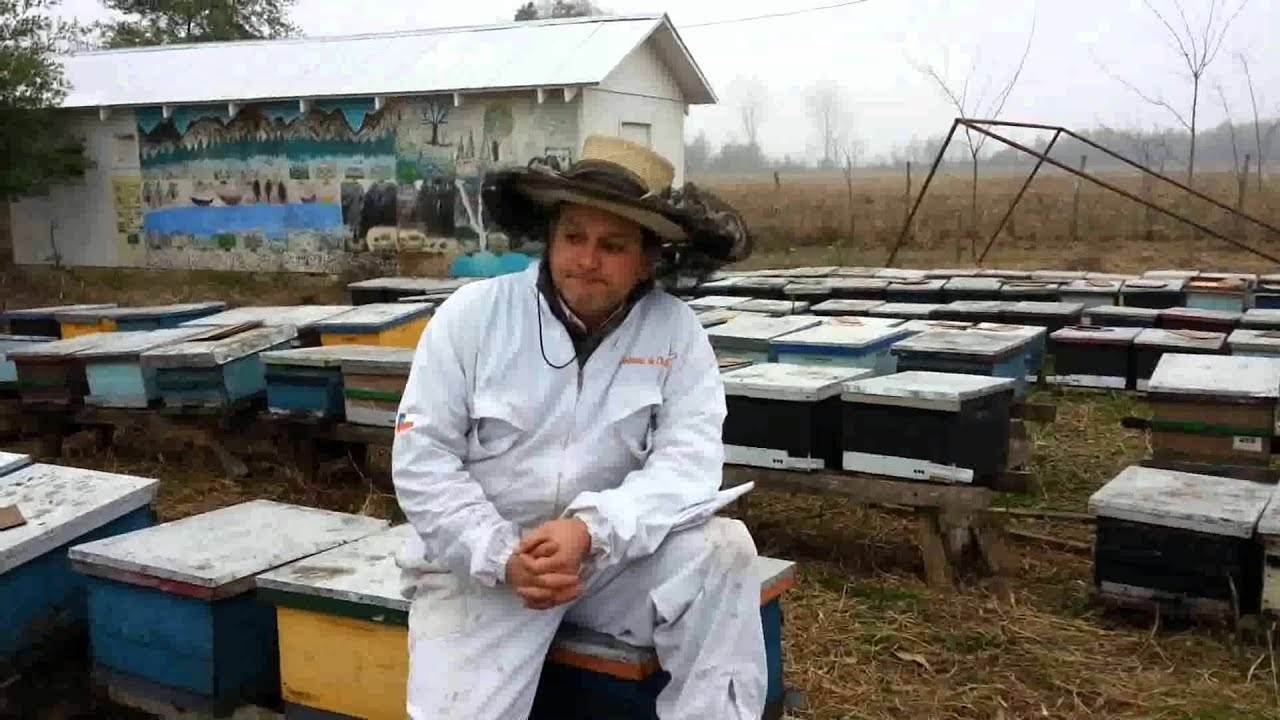 JPHMIEL. Nutriciòn abejas 7, formula ingredientes torta nutricional abejas, alimentacion abejas.