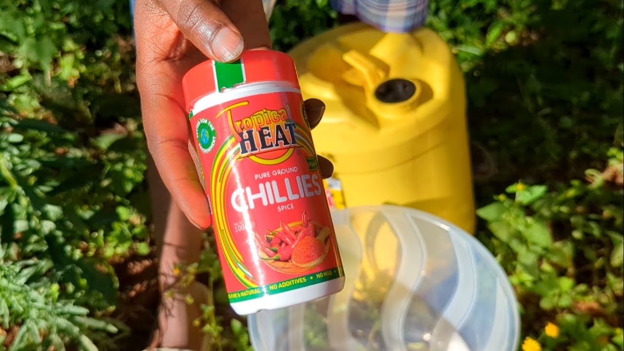 I Sprayed My Farm With HOT CHILLIES !! // AFRICAN VILLAGE LIFE