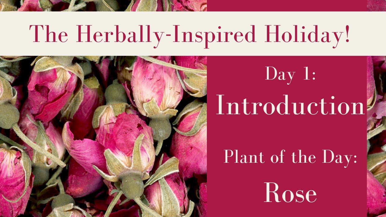 Herbally-Inspired Holiday! | Herbal Introduction | Day 1