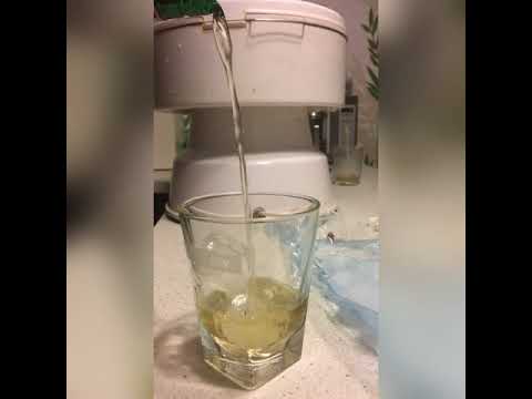 Whiskey With Apple Juice