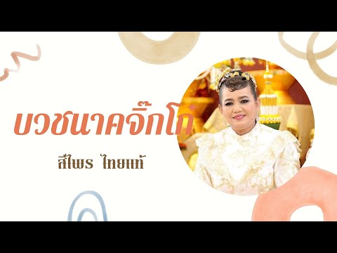บวชนาคจิ๊กโก๋ - สีไพร ไทยแท้  อัลบั้มรวมเพลงงานบวช 1 [Official MV&Karaoke]