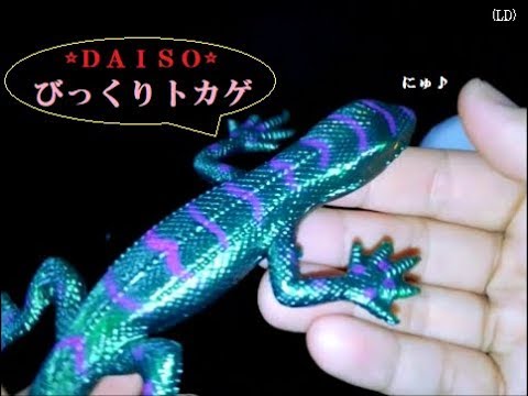ｄａｉｓｏ 玩具 びっくりトカゲ 紹介 開封動画 Youtube