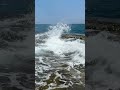 Прекрасное море