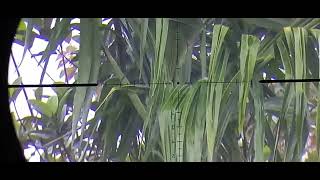 Unit Luar Biasa Uji Akurasi Jarak 40 M Satu Lubang...unit Bocil 45