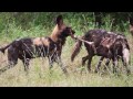 Lower Zambezi National Park