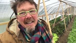 Fine-Tuning Propane Heat Around A Winter Greenhouse.