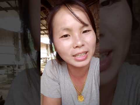 Video: Hmo ntuj nyob hauv Wan Chai: Zoo tshaj Bars, Clubs, thiab ntau dua