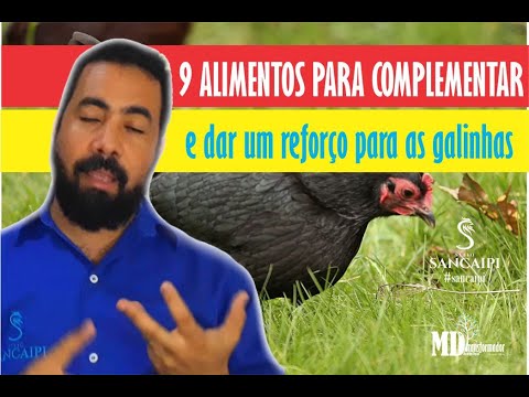 Vídeo: Como Aumentar Os Alimentos Complementares