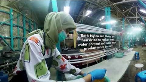 Mycotech: Indonesia start-up creates sustainable leather with mushrooms (360 video) | DBS