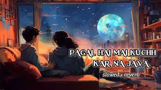 Pagal Hai Mai Kuchh Kar Na Java (slowed + reverb) || Harnoor lofi song || Ishqan De Rog Lofi ||