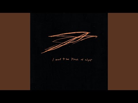Pulaski at Night - Andrew Bird