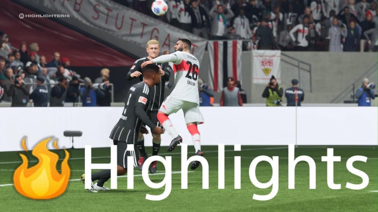 VFB-SGE Highlights