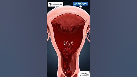 Menstrual cycle in 3d animation #pregnant #3danimation #menstruation #menstrualcycle