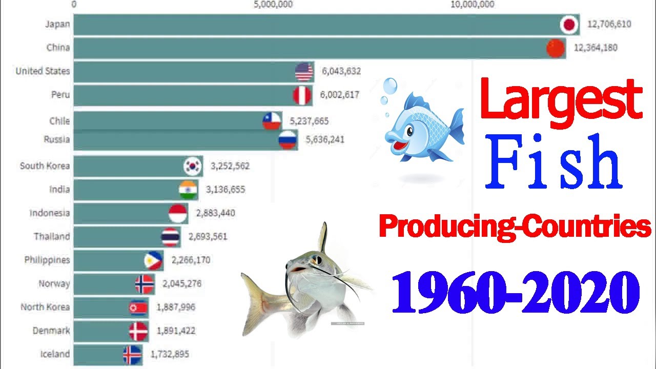 Top 15 Largest Fish Producing Countries 1960 2019 Top Fish Producing top-15-largest-fish-producing-countries-1960-2019-top-fish-producing