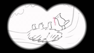 Dick Figures - Camp Anarchy - Sub impressi Ita! Ep12