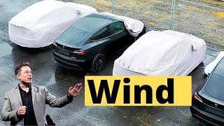 Wind Uncovers Tesla Giga Berlin's Model Y EVs, Possibly Produced Locally