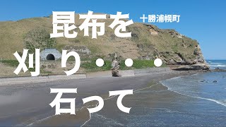 十勝のナニコレ珍百景「昆布刈石」ってどんな場所【浦幌町】