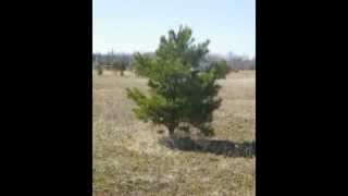 Vacant Fish Lake, Lapeer, MI  - $OLD