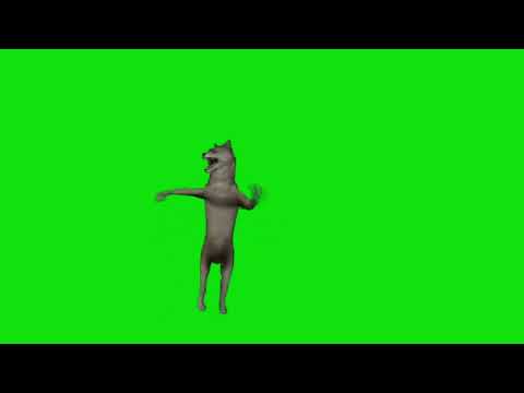 Dancing Wolf Coffin Dance Meme Green Screen Template