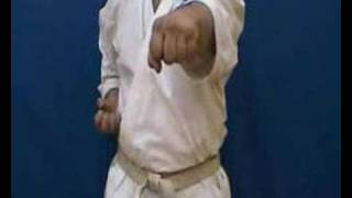 Shotokan karate video-basic punch chokuzuki screenshot 2