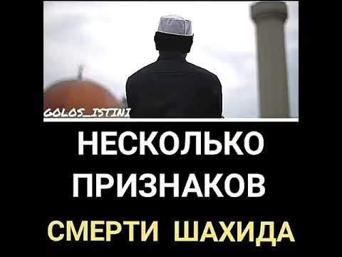 Исламизация. Что значит стать шахидом. Что значит стать шахидом. Кто такие шахиды в исламе. Девушка шахид.