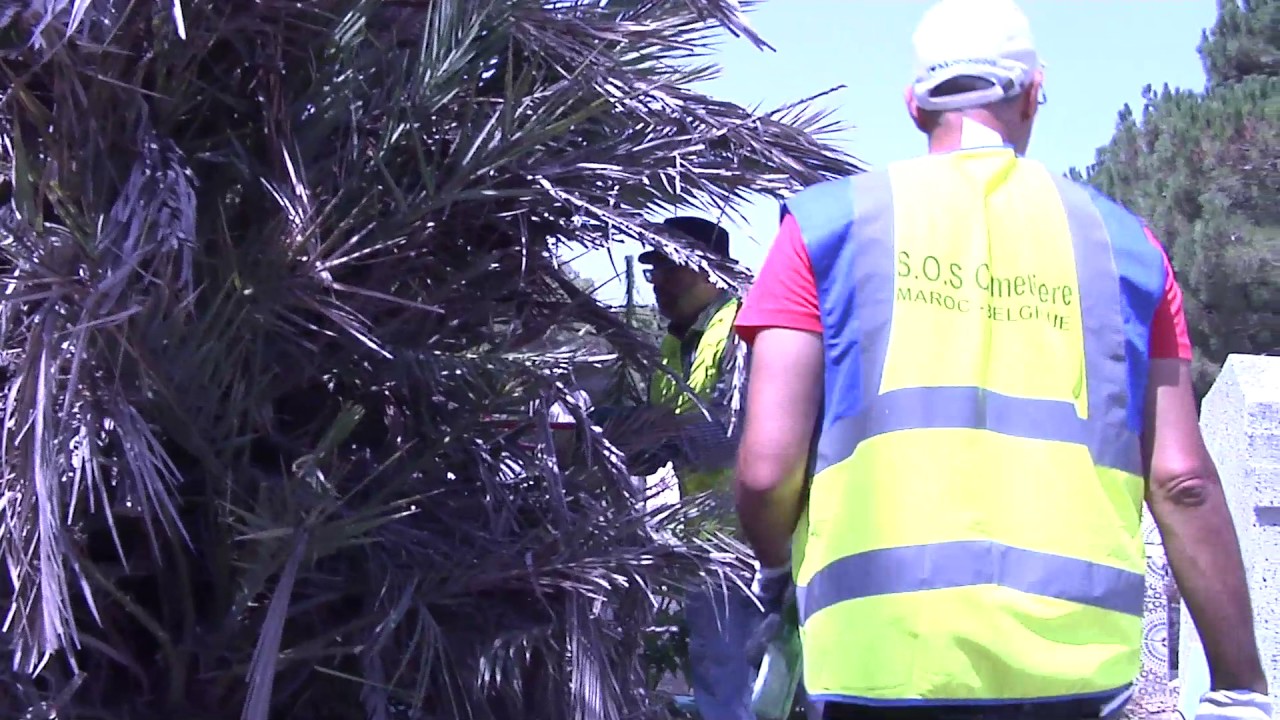 حملة تنظيف مقبرة المجاهدين